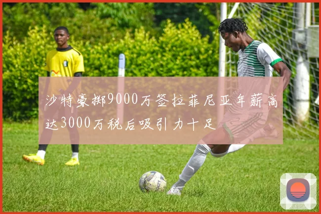 沙特豪掷9000万签拉菲尼亚年薪高达3000万税后吸引力十足
